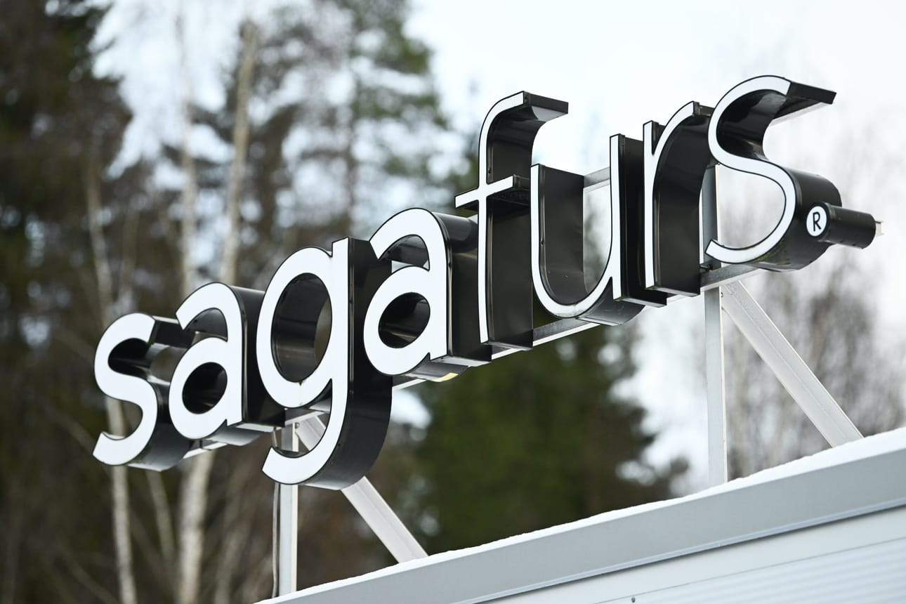 Saga Fursin mukaan tiistaina päättynyt kauden ensimmäinen turkishuutokauppa sujui hyvin sekä myyntimäärien että hintojen osalta.