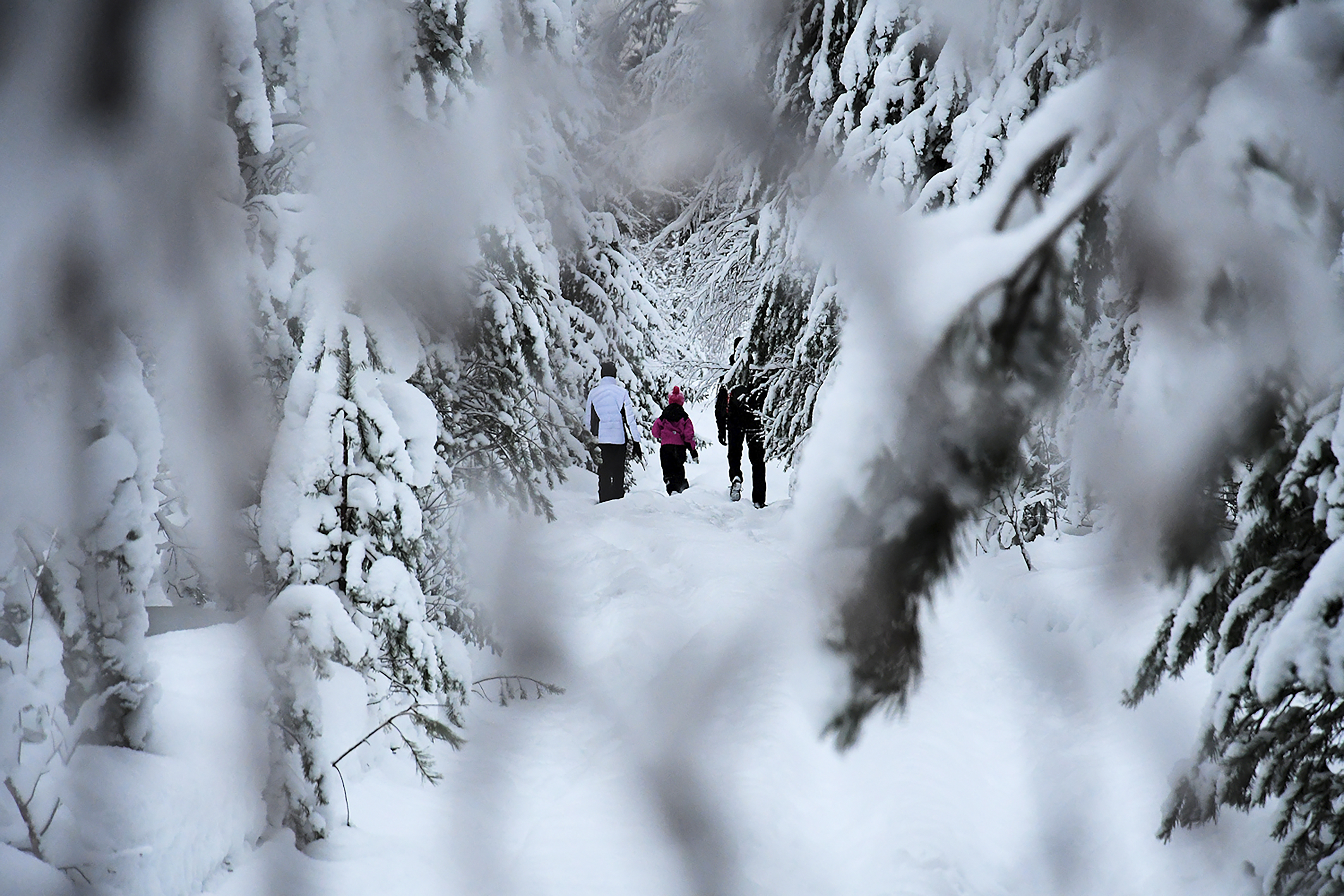 Pakkastalvi jatkuu lumisena – katso Arimo Eklundin hienoja luontokuvia