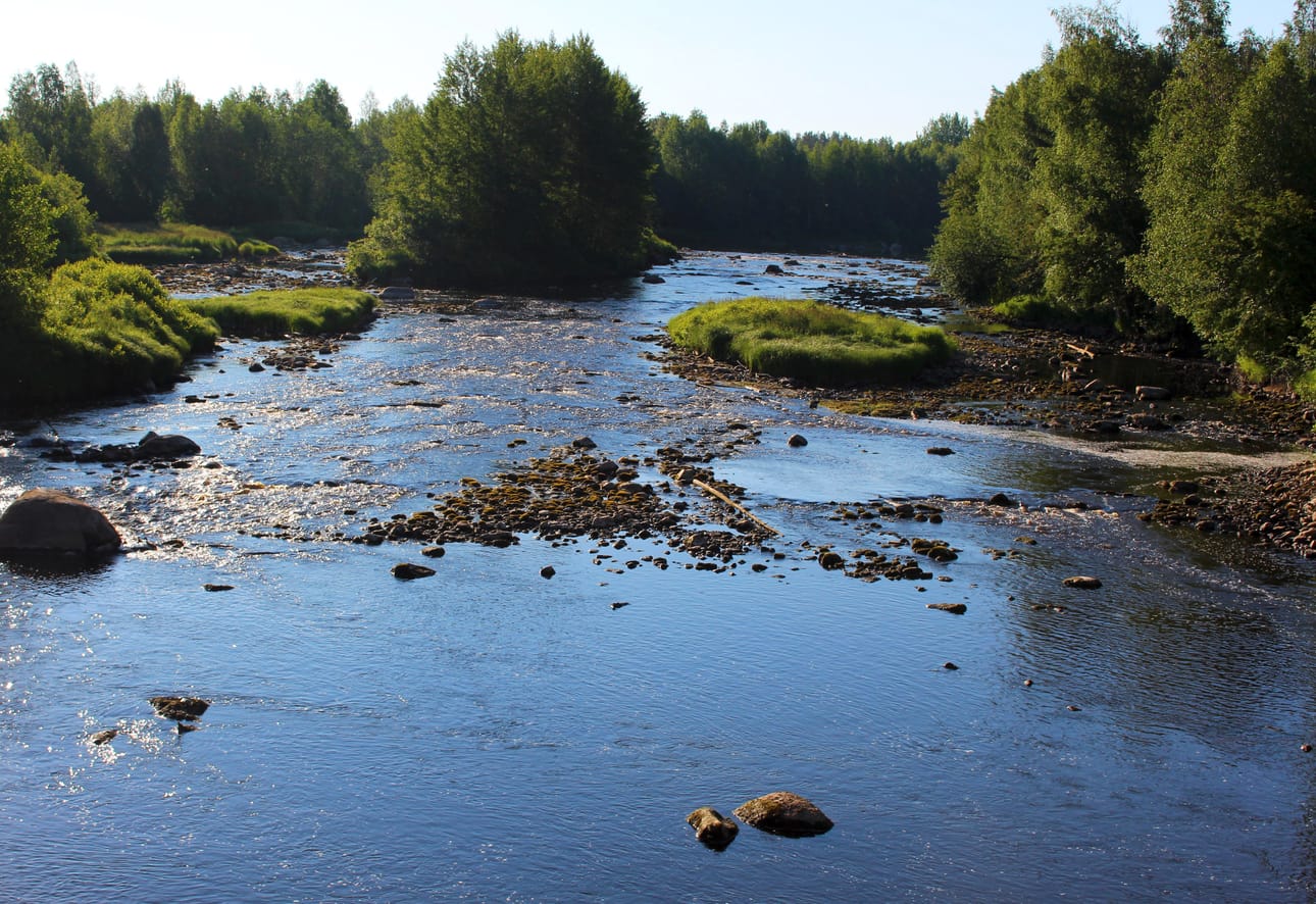 Vettä virtasi vähänlaisesti maanantaiaamuna Hyttikoskessa. Ely-keskus aloittaa keskiviikkona Uljuan voimalaitoksen kautta juoksutukset, joilla turvataan veden riittävyys Siikajoki-melonnassa.