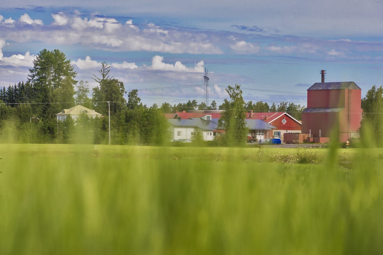 Siikajoella Ruukin mittausasemalla satoi heinäkuussa vain 2,3 millimetriä. Se on vähiten 119-vuotisen mittaushistorian aikana.