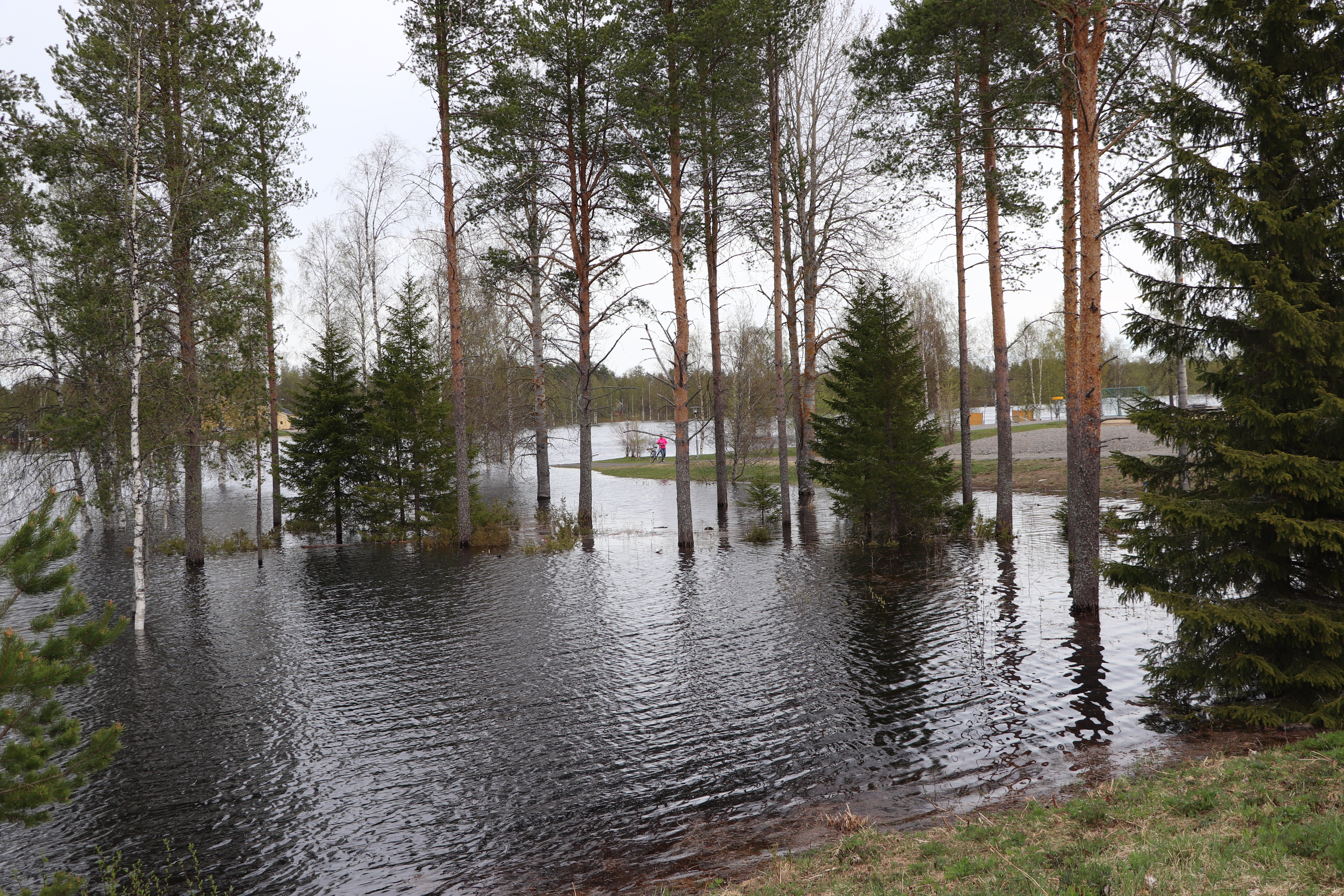 Rajamaanranta 27.5.2020.