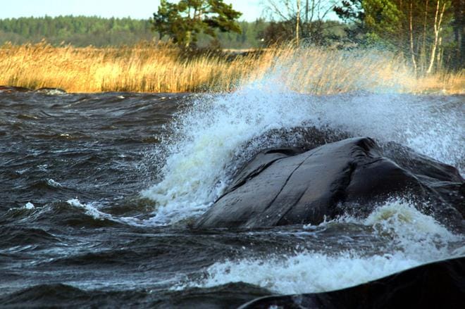 Kuvituskuva: Jouko Hänninen