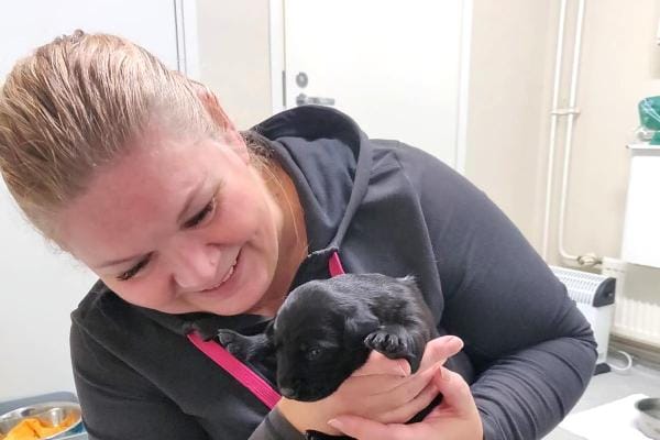 Riitta Kolari vietti työnantajansa tarjoaman vapaaehtoistyöpäivän eläinten löytökodissa, jonka yhteydessä on myös opaskoirakoulu. KUVA: Riitta Kolari