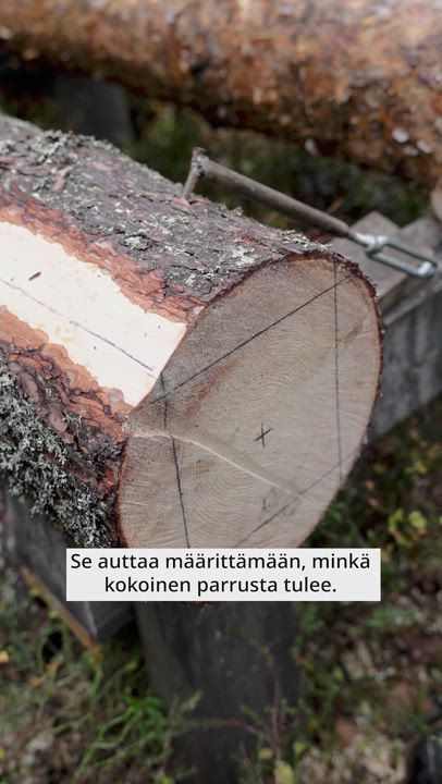 Tervolassa asuva John Gibbons veistää kokonaisista männynrungoista hirsiä kirveellä.