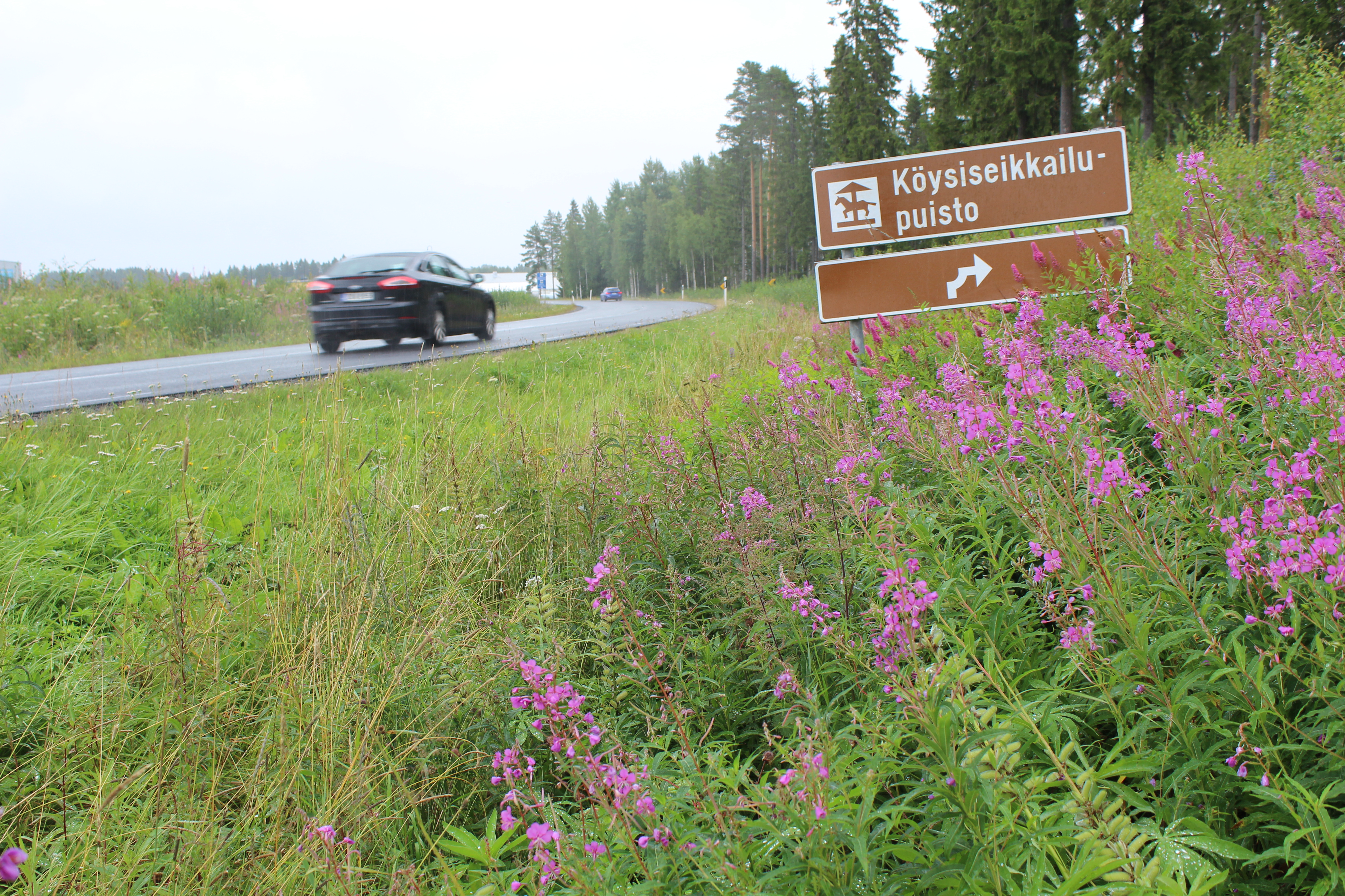 Kyltti lupaa yhtä, totuus on joskus toista – Vastuu vanhojen tienvarsikylttien poistamisesta on opasteen omistajalla