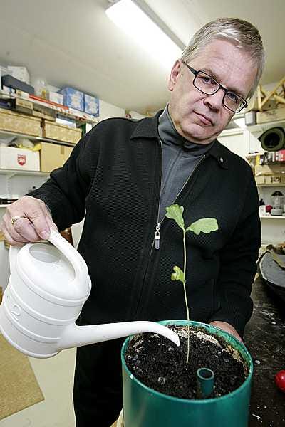 Eropäätöksen iltana Haukiputaan kunnanjohtaja Pasi Vallivaara kasteli Unkarista tuomaansa tammen taimea. Kesällä hän aikoo istuttaa sen mökkinsä pihalle Oulujärvelle.