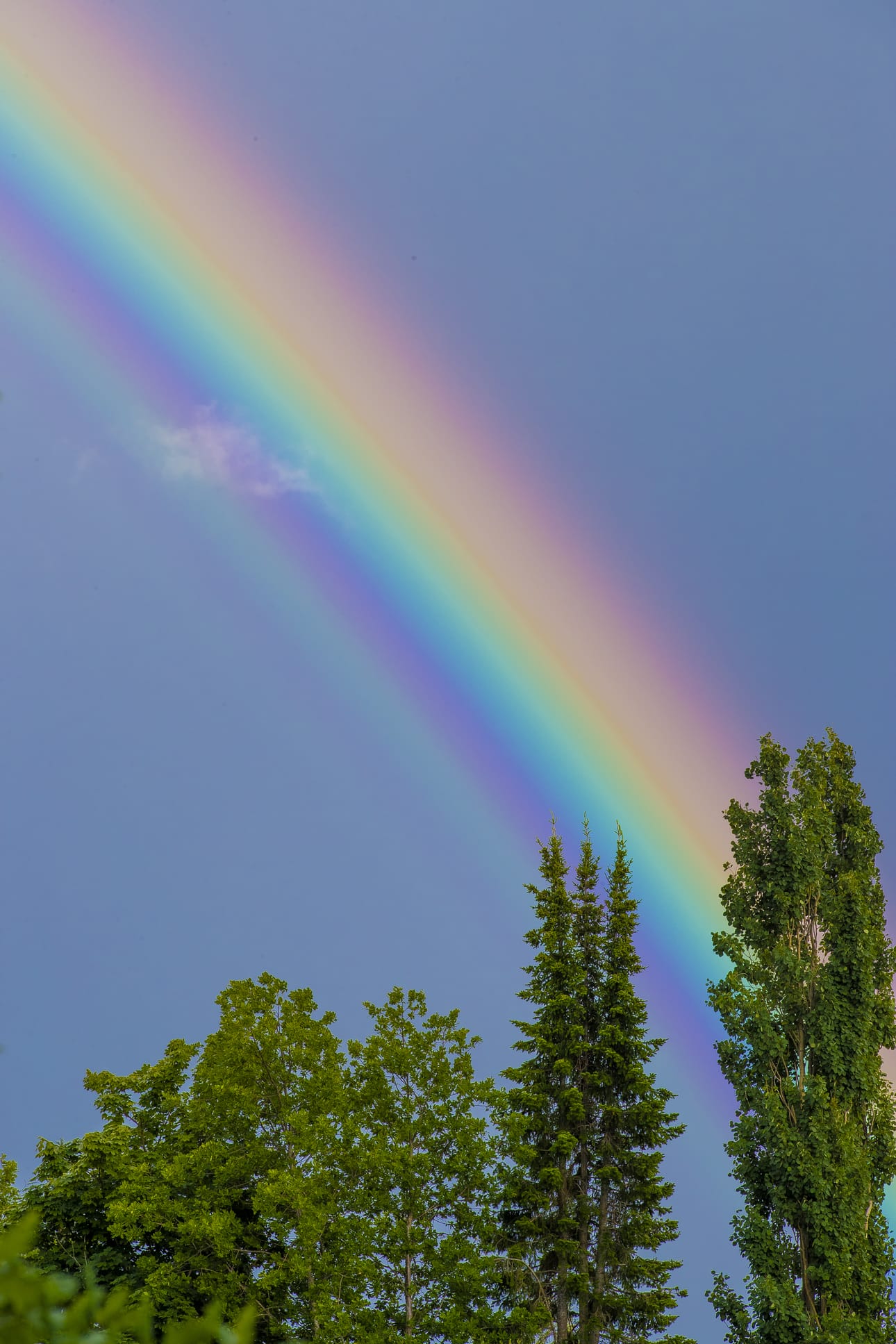 Sateenkaari saattaa näyttäytyä Oulaisten viikonloppusäässä.