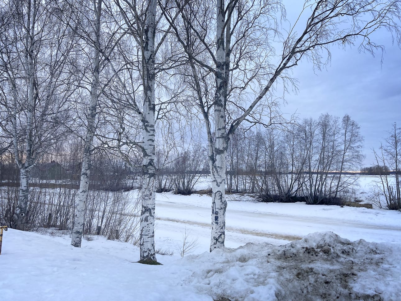 Toinen tonteista sijaitsee Savonjoen rannalla vastapäätä yhteiskoulua.