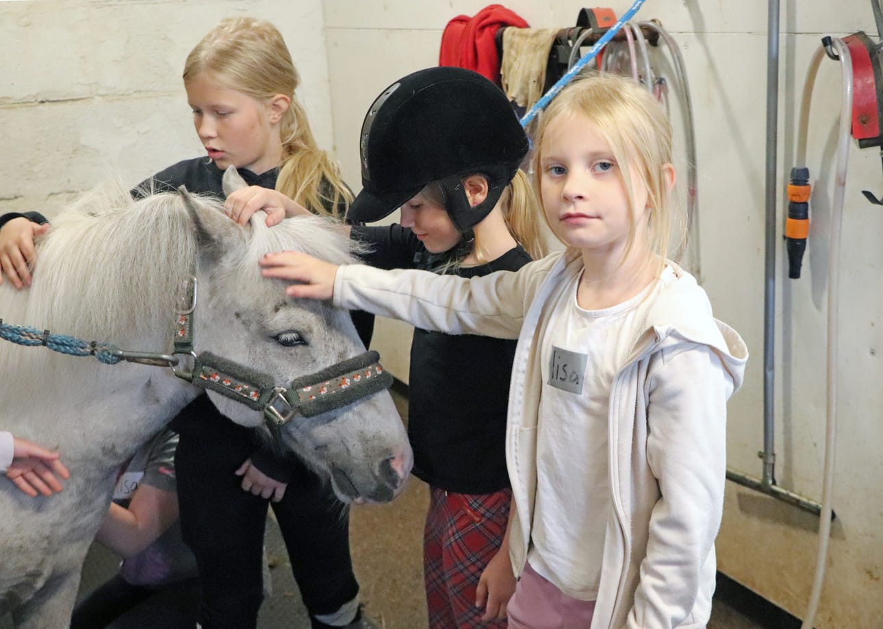 Heppaleiriläinen Iisa Viitala silittää Risto-ponia ja tietää sen nauttivat huomiosta.