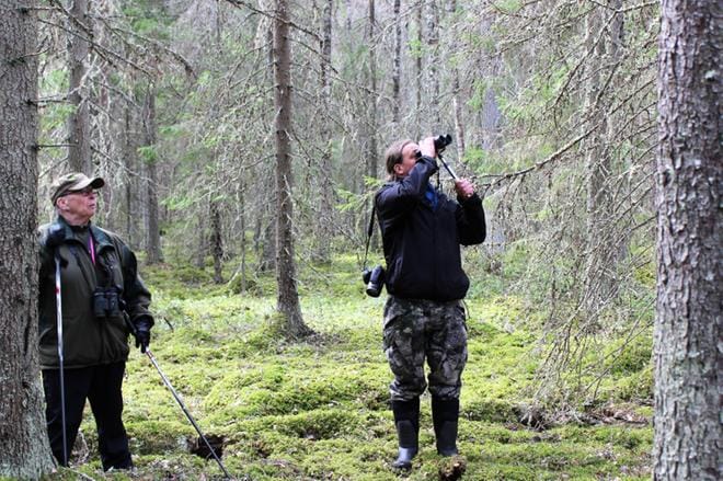 Kantakaupunkilaiset Laura Kaprio ja Paavo Sallinen ihailevat metsää, joka on saanut ikääntyä rauhassa, ainakin toistaiseksi. - Tällaista vanhaa, luonnontilaista metsää on häviävän pieni määrä enää jäljellä, kertoo Sallinen. KUVA: MINNA ZILLIACUS