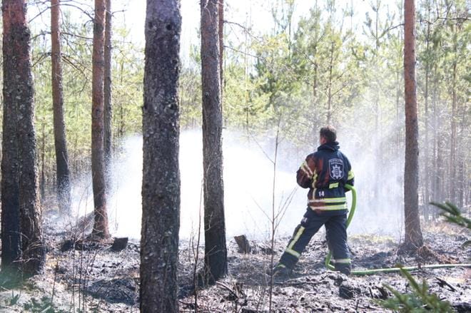 Metsänpohjaa paloi noin 60 aaria eli reilun jääkiekkokaukallollisen verran. KUVAT: LOTTA KALLIO