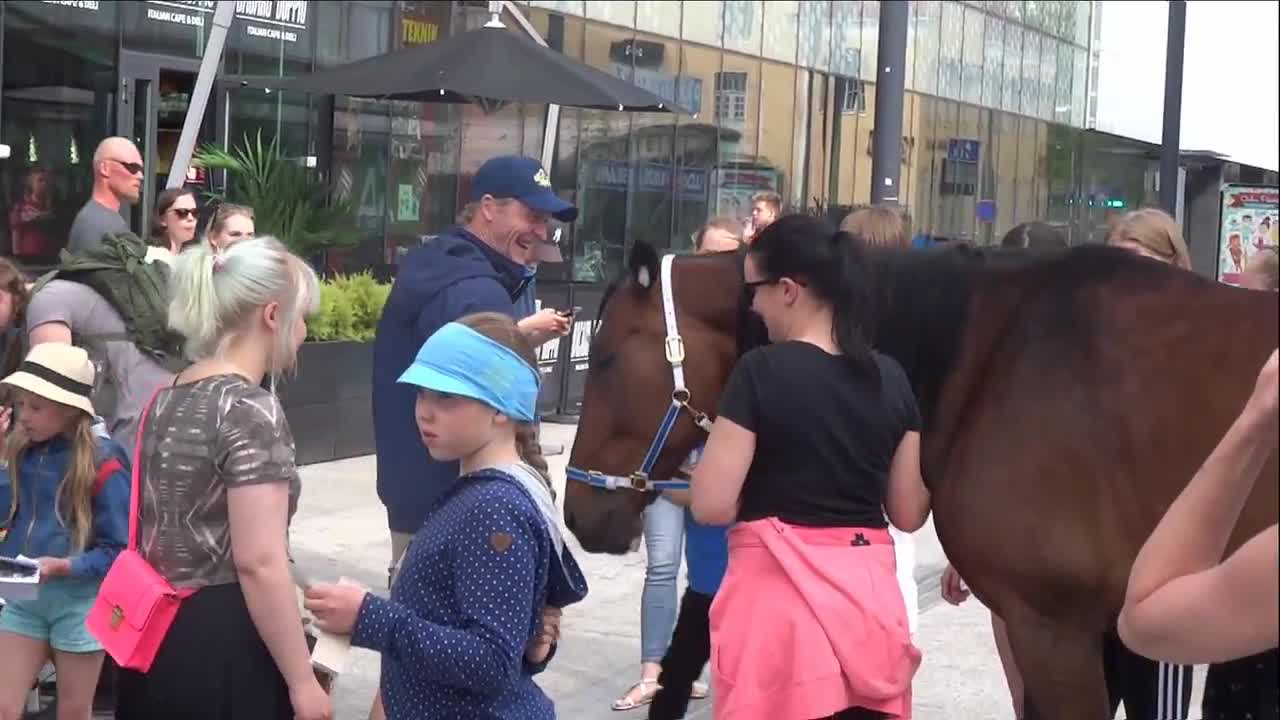 Toni Nieminen taputteli hevosta Valkean edessä