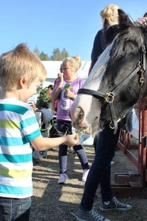 Hevosenhoitopisteellä saa tietoa hevosen hoidosta ja pääsee myös itse harjaamaan.