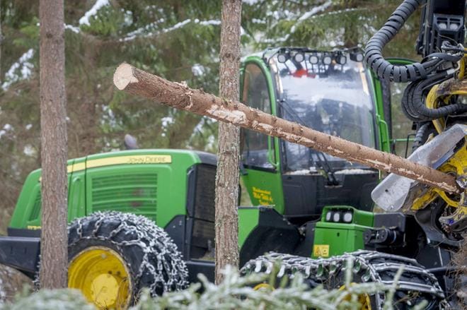 Tänä vuonna on tulossa hakkuiden ennätysvuosi Suomessa. Siitä huolimatta metsät kasvavat Luonnonvarakeskuksen mukaan enemmän kuin niitä hakataan. KUVA: Timo Jakonen