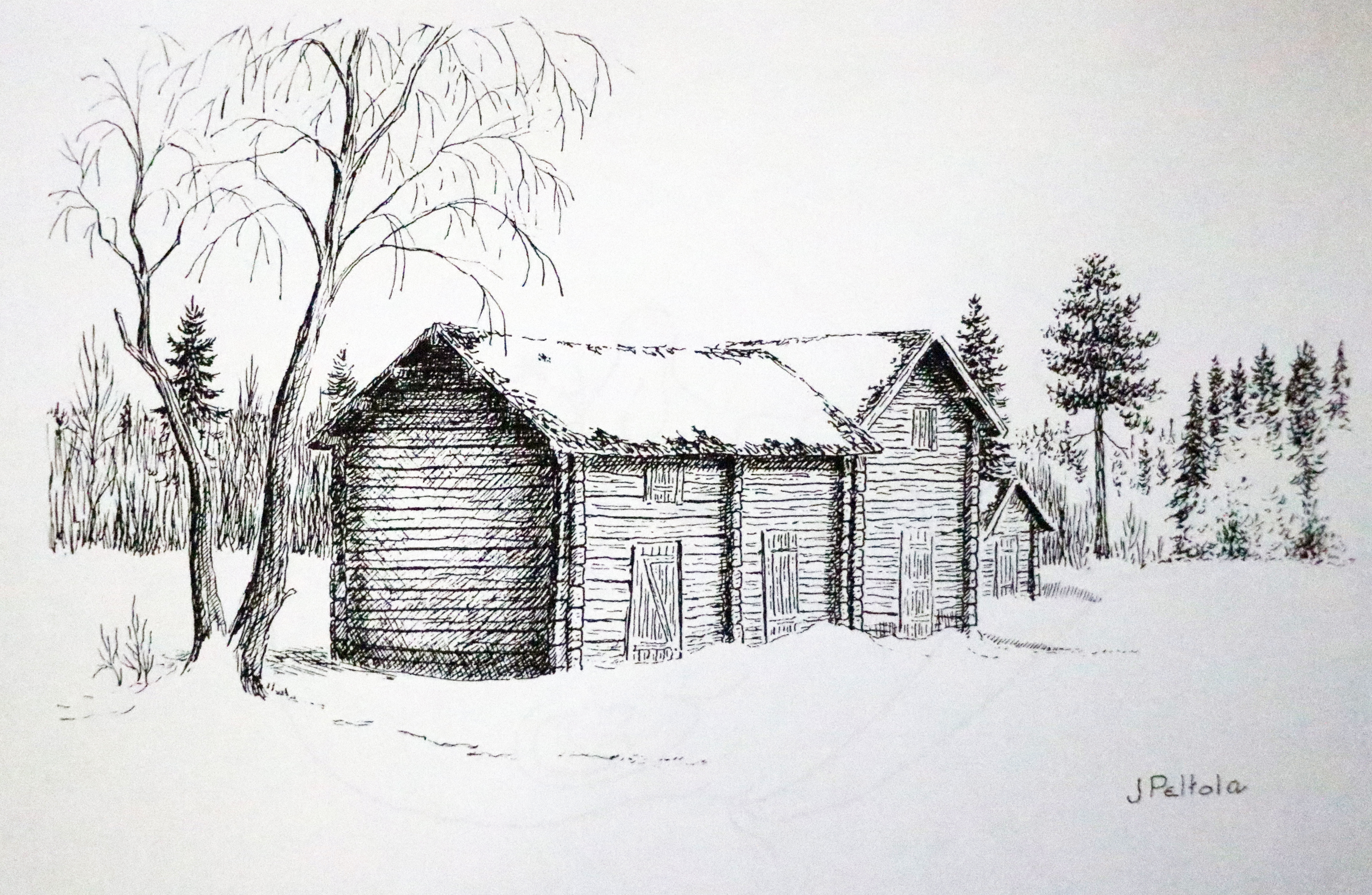 Joskus Peltolan piirtämillä karikatyyreillä on esikuvansa. Läheskään aina ei.