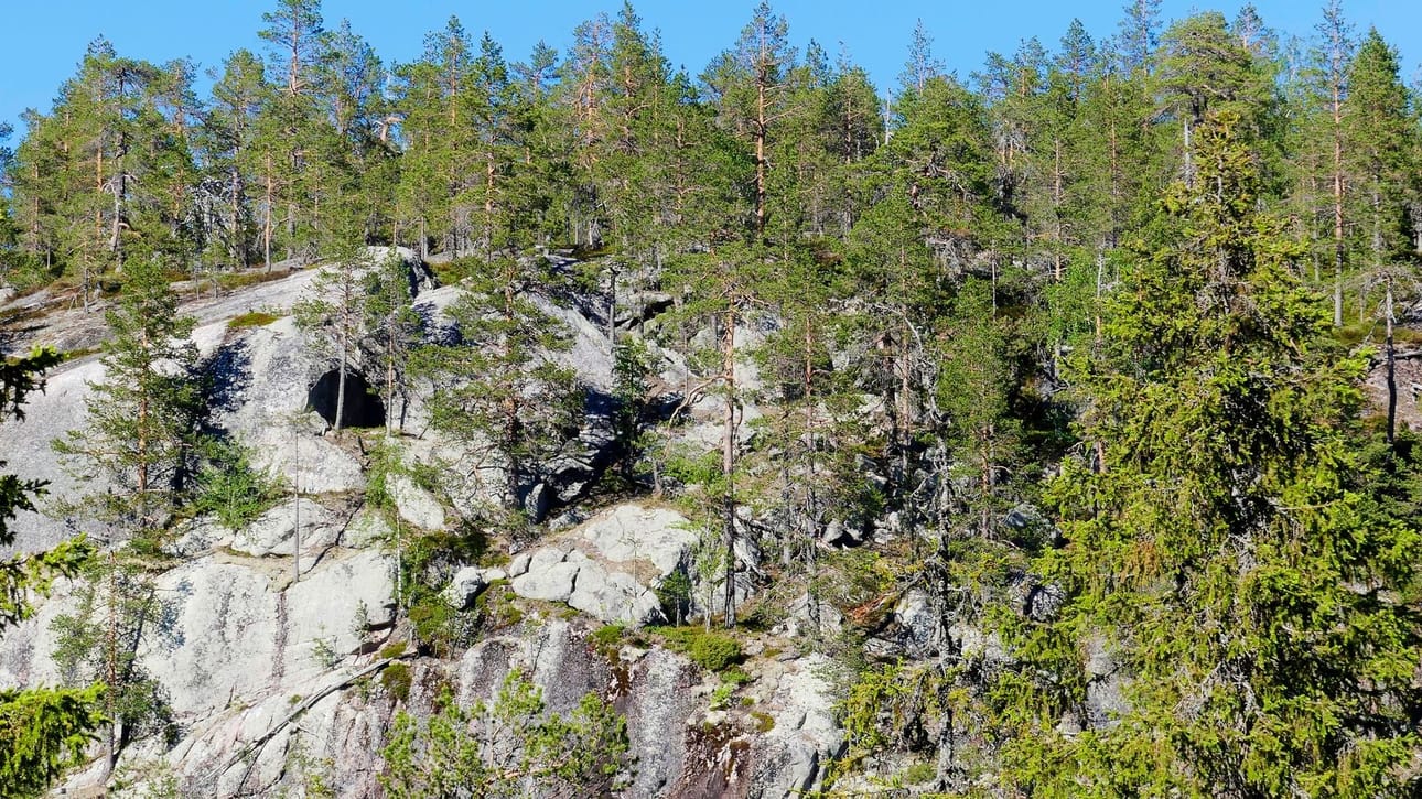 Vilho Kemppaisen kesäkuussa ottama kuva Posion Mustarinnantunturin lounaisrinteen pahdasta. Vasemmalla kalliossa näkyvä tumma soikio näyttää suurennettunakin luolan suulta. Alueella liikkuminen edellyttää hyvää kuntoa ja varovaisuutta.