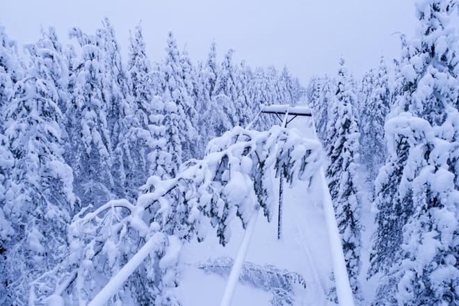 Pakkasjakso paljasti Suomen sähköjärjestelmän heikkoudet ja vahvuudet