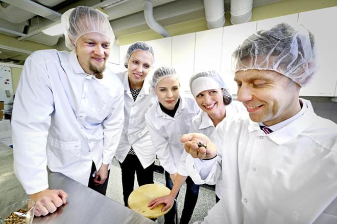 EntoCuben Otto Palonen sekä Foodwestin Kaisa Penttilä, Vesta Mäki, Virve Anttila ja Karri Kunnas maistelivat sirkkoja, joista alettiin tehdä pian kauppoihin tulevaa Sirkkagranolaa. KUVAT: KARI LÖFHJELM