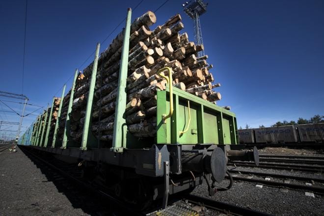 Puukuljetuksien lisääminen on Suupohjan radan tulevaisuudelle erittäin tärkeää. Yhdistyksen pitkän tähtäimen tavoite on elvyttää tavaraliikenteen lisäksi henkilöliikenne. KUVAT: JARI E. HAKALA