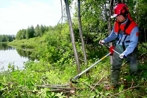 Taajama näkösälle. Kuusamontien varren raivauksilla ja hakkuilla pyritään saamaan Kiimingin keskustan yleisilme huolitellummaksi ja palvelut näkyviin valtatielle.