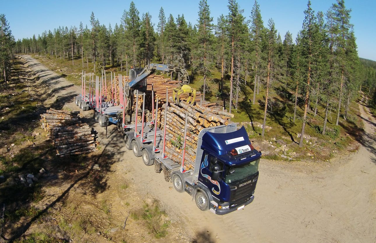 Pikkujätti on 84-tonninen ajoneuvoyhdistelmä puutavarakuljetuksiin.