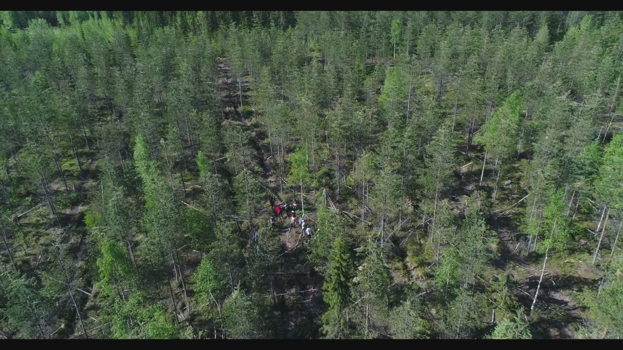 Kainuun lumituhot näkyvät karusti metsissä