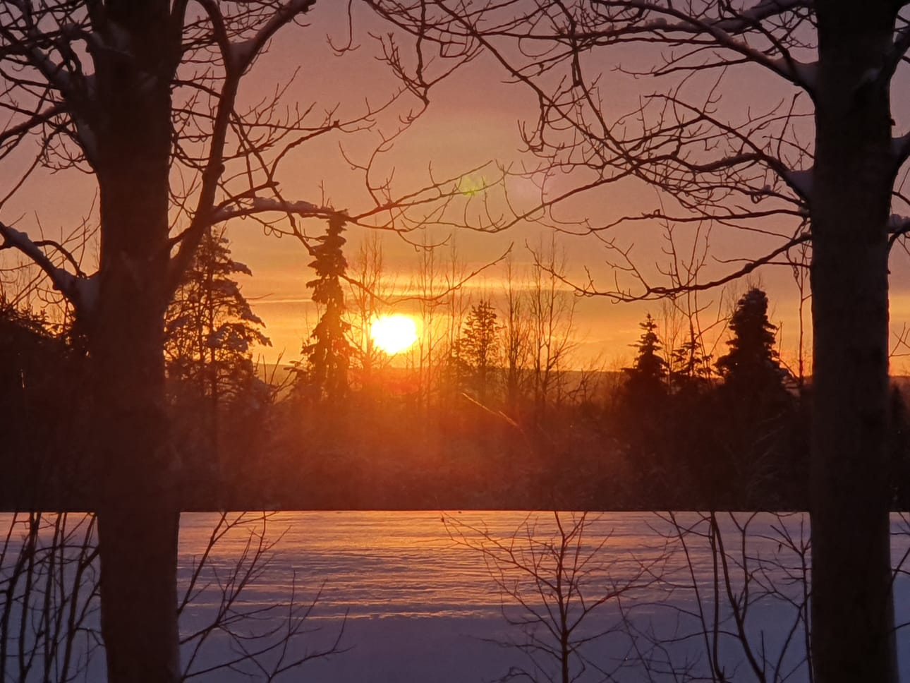 Aurinko Laskee Vasaraperässä