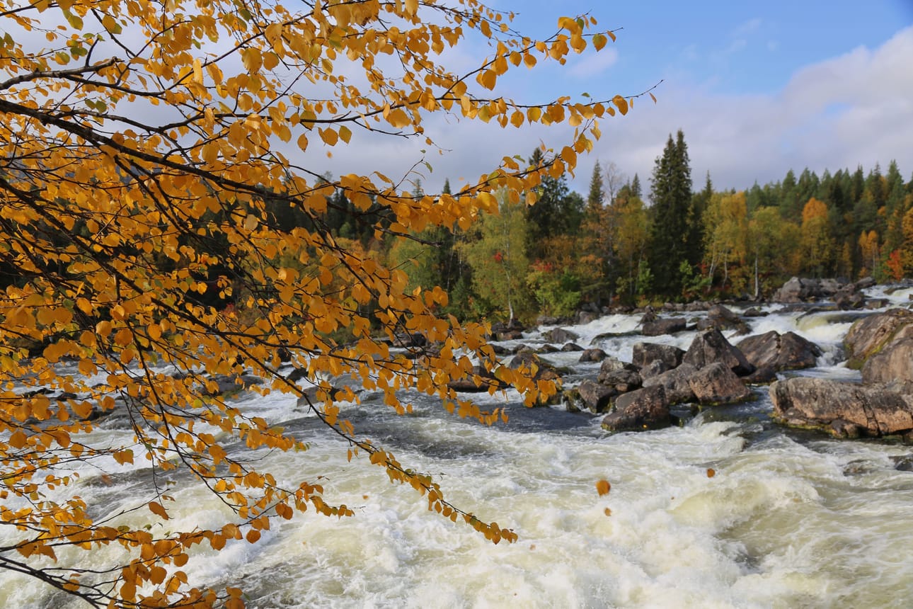 Kivakkakoski Paanajärvellä.