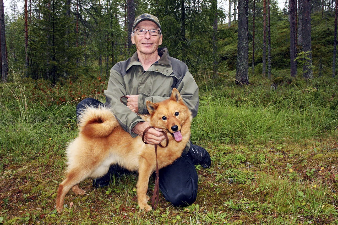 Martti Loukusa totuttaa runsaan vuoden ikäistä suomenpystykorvaa Jeppeä metsästyskaveriksi. Koira hankittiin Loukusoille pentuna Kuivaniemeltä. Jepen edeltäjä Vekku eli 12-vuotiaaksi.