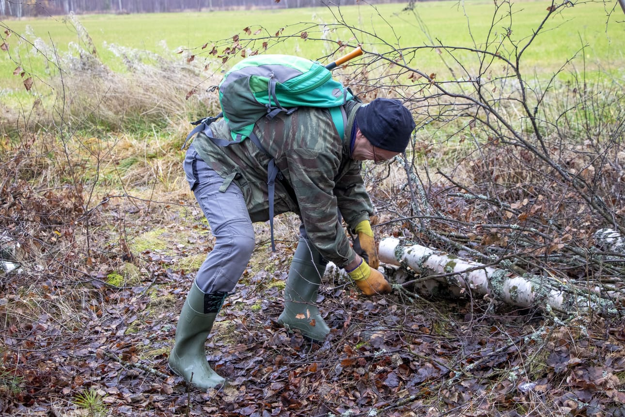 Opiskelijat Urakoivat Hahtikarin Suojelumets n Tuntumassa Limingasta opiskelijat-urakoivat-hahtikarin-suojelumets-n-tuntumassa-limingasta
