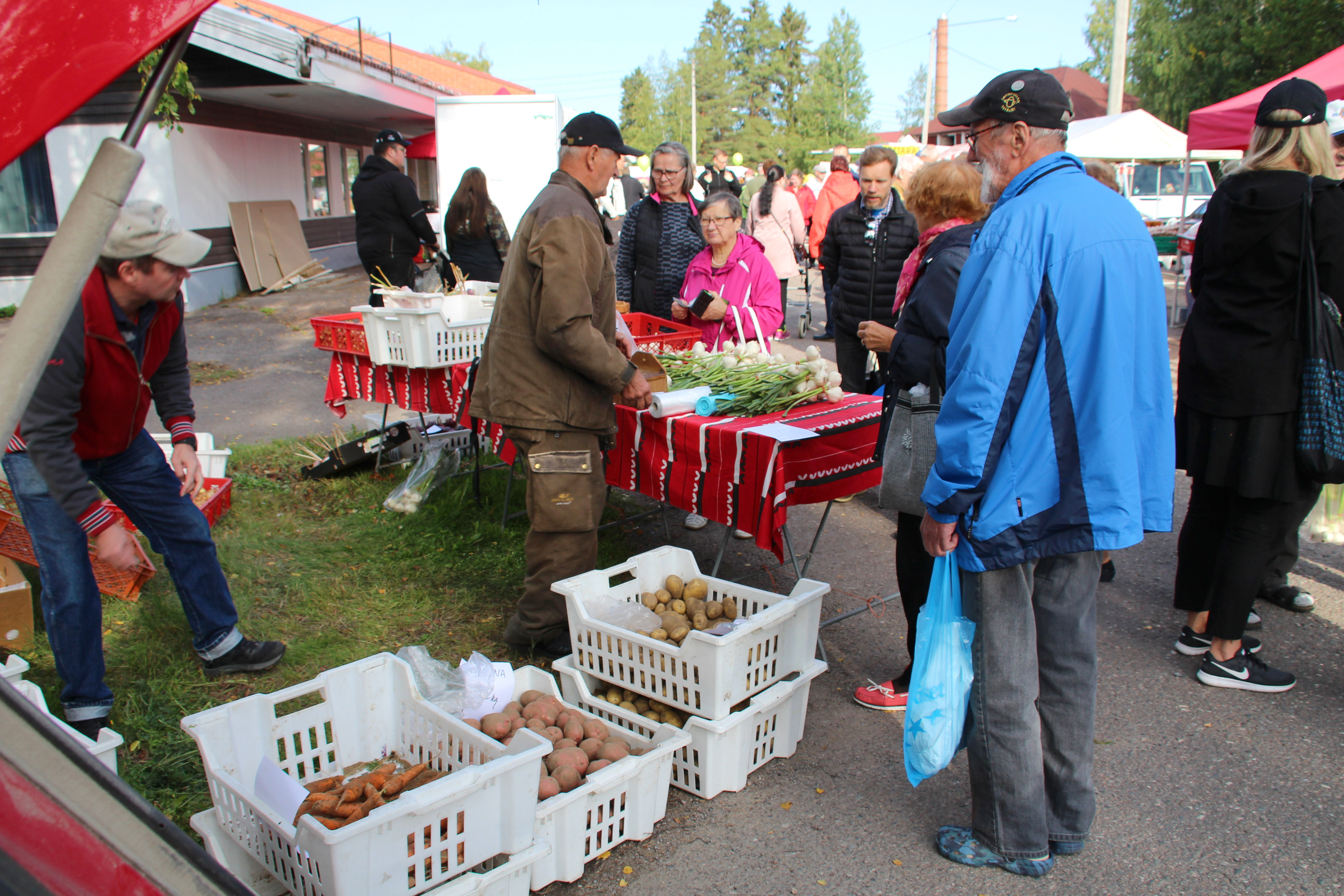 Perunat, punajuuret ja sipulit tekevät kauppansa.