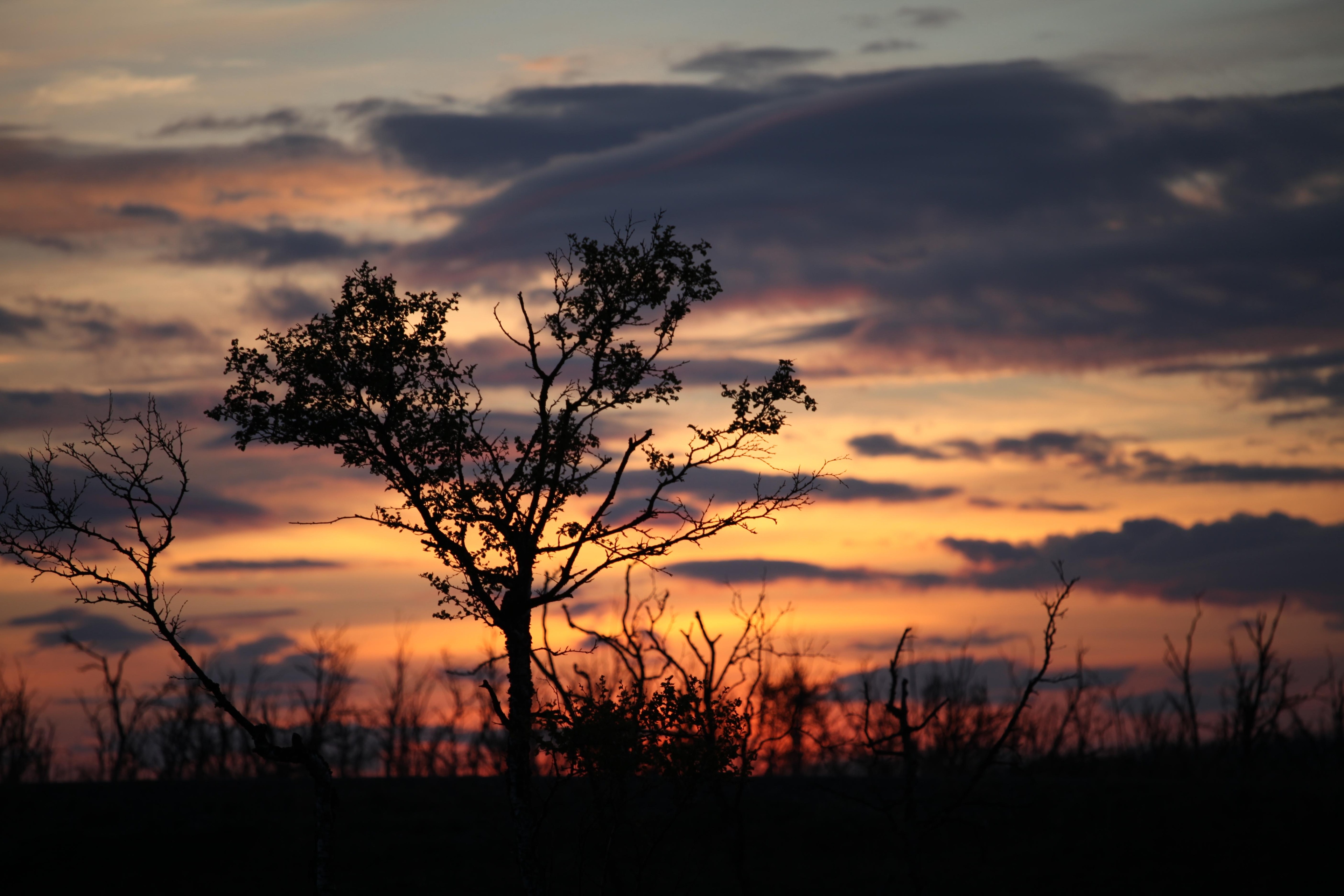 Elokuun 2025 lukijakuvat