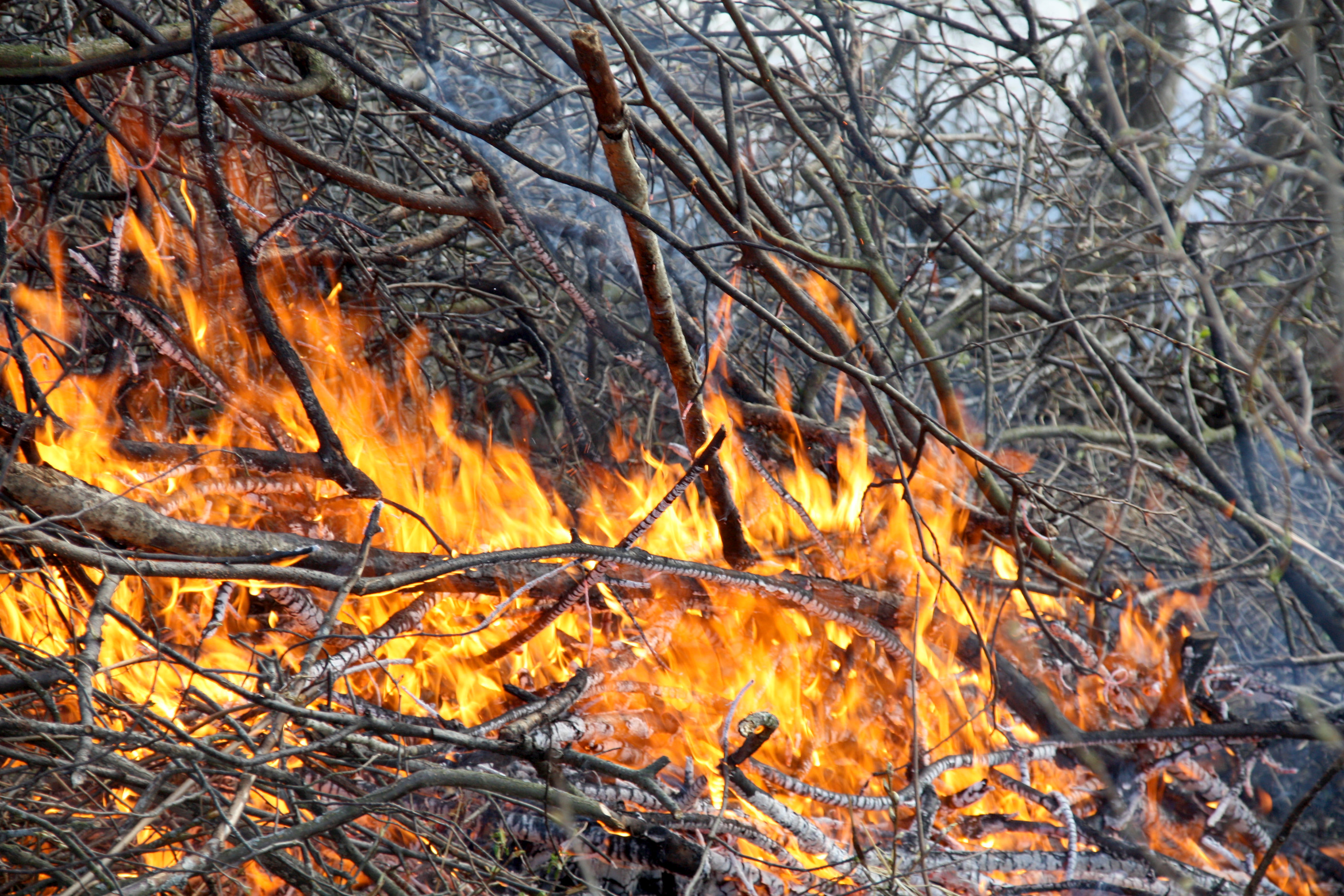 Kevät on roskien polton ja kulotuksen aikaa – Pohjois-Pohjanmaan pelastuslaitos muistuttaa varovaisuudesta avotulen kanssa