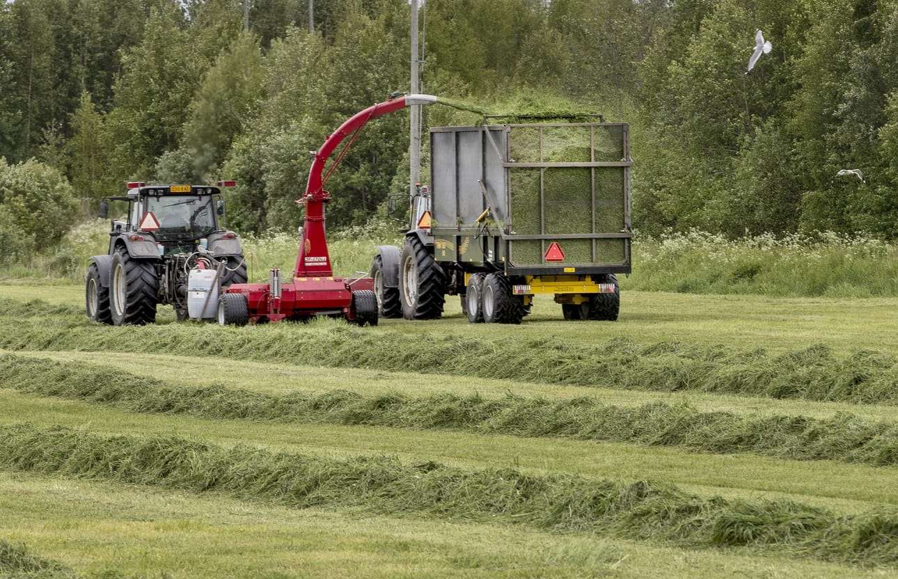 MTK haluaa uudella Töitä Suomesta -palvelullaan muun muassa tarjota apua kausityövoimaa tarvitseville. Kuvassa säilörehun korjuuta.