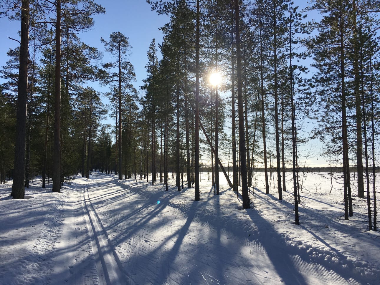 Pyhäntä satsaa harrastusmahdollisuuksiin. Retkilatu palvelee jo väkeä, mutta talviliikuntamahdollisuuksia parantaa taajamaan tulossa oleva viiden kilometrin latu.