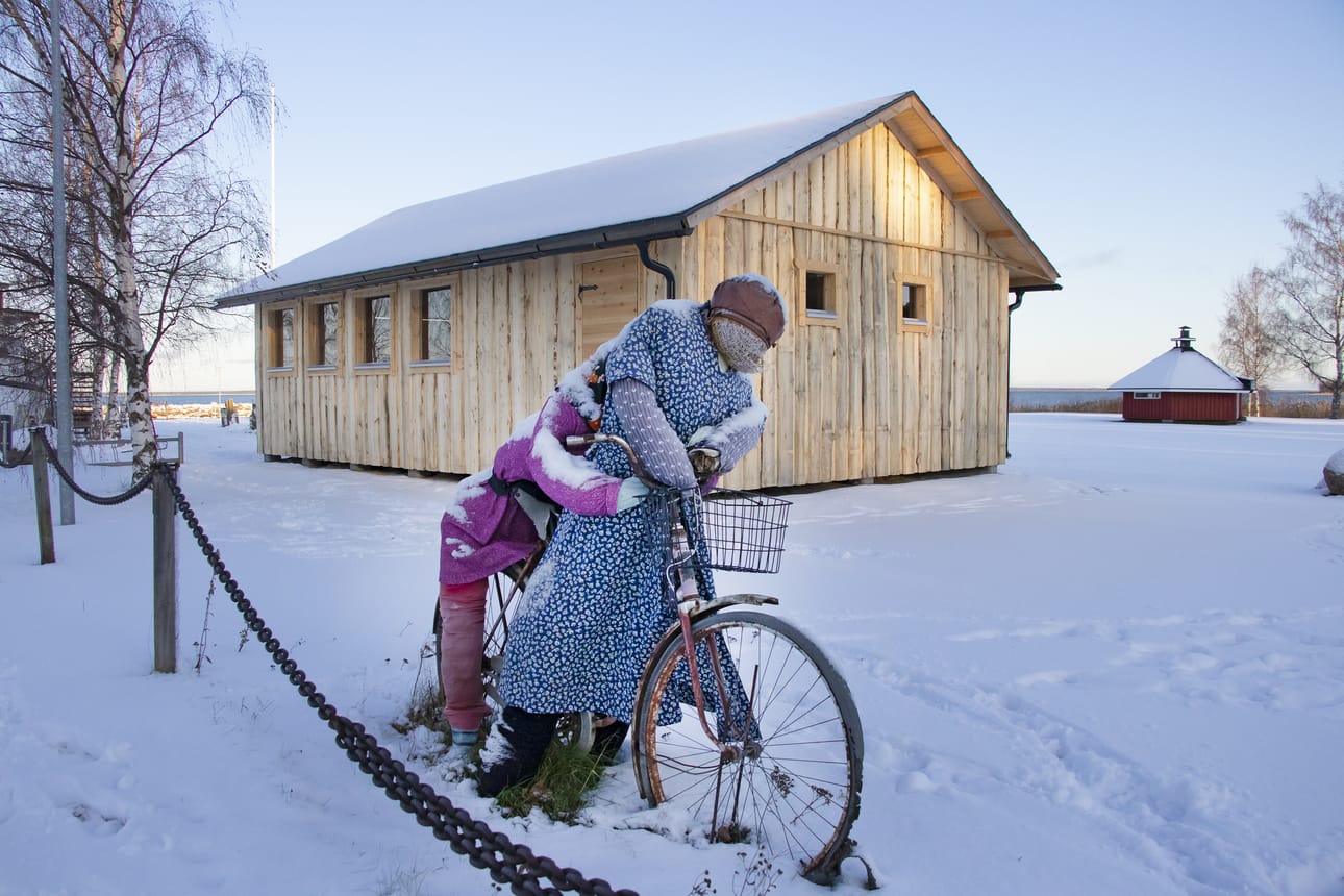 Tanssipaviljongin ulkonäkö on perinteikäs. Tuppeensahatusta haavasta tehdyn ulkovuoren annetaan harmaantua ja sulautua sataman piharakennusten yhteiseen ilmeeseen.