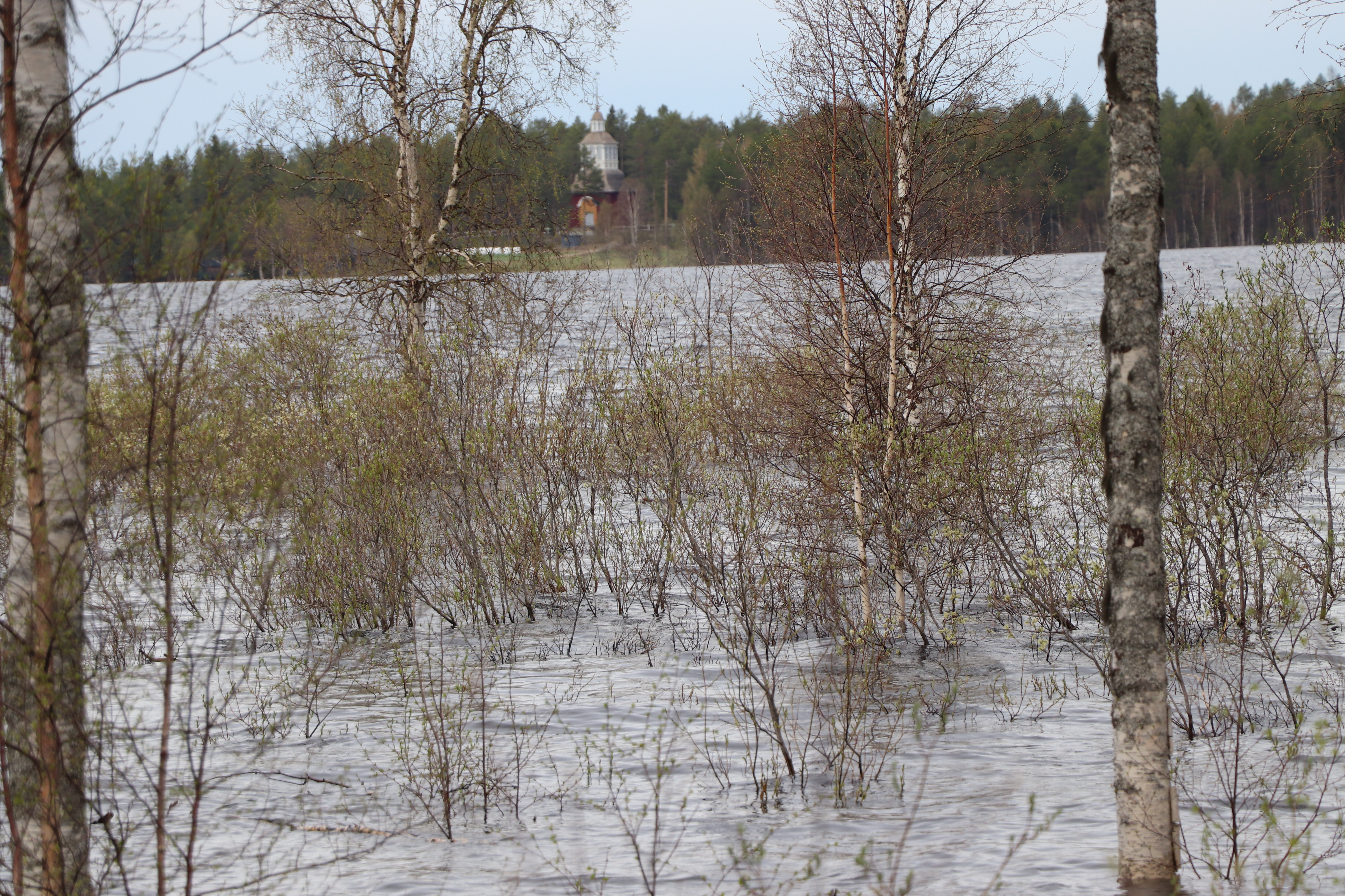 Pudasjärvelle päin Petäjäkankaantien varresta kuvattuna 27.5.2020.