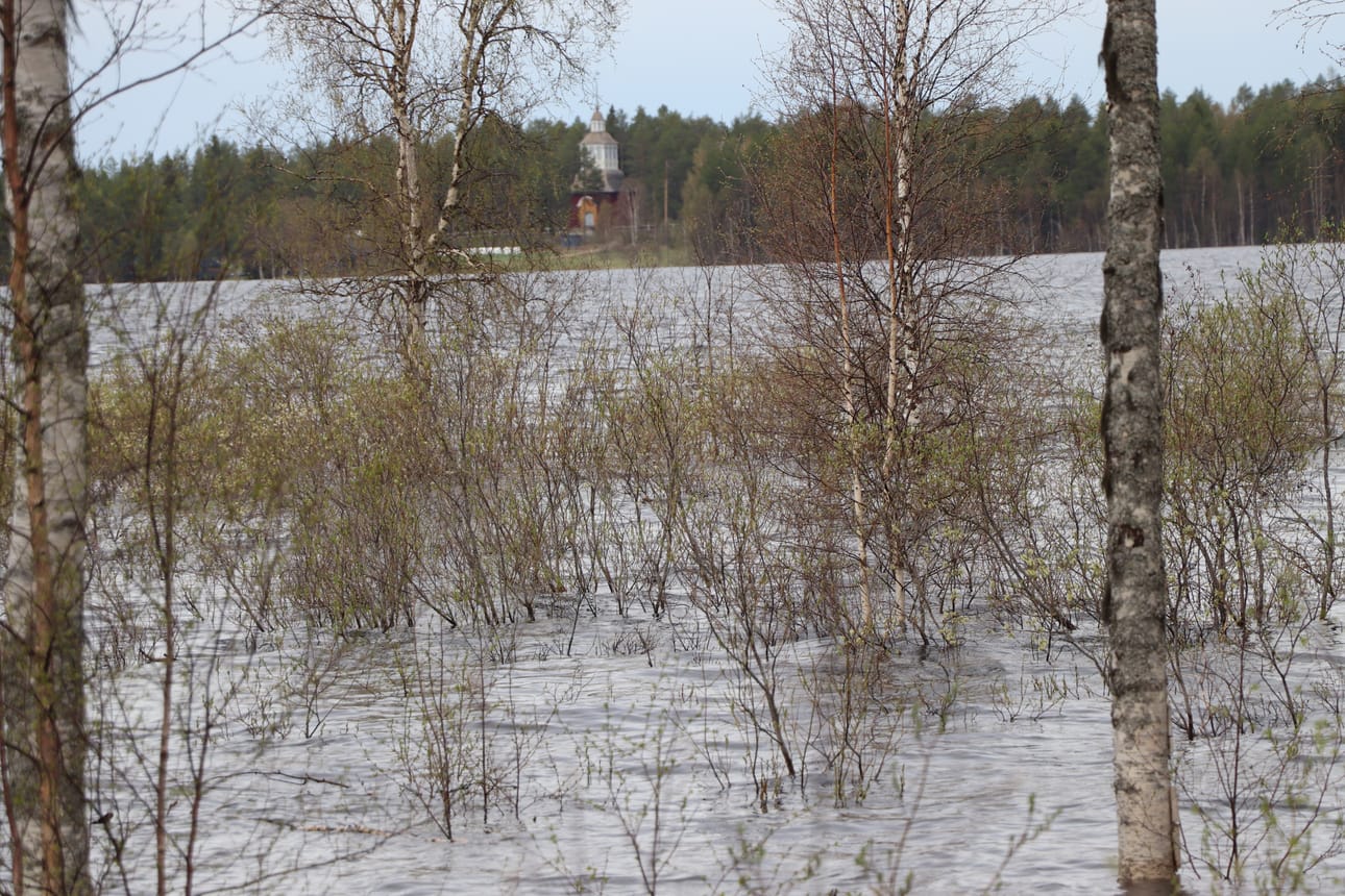 Pudasjärvelle päin Petäjäkankaantien varresta kuvattuna 27.5.2020.