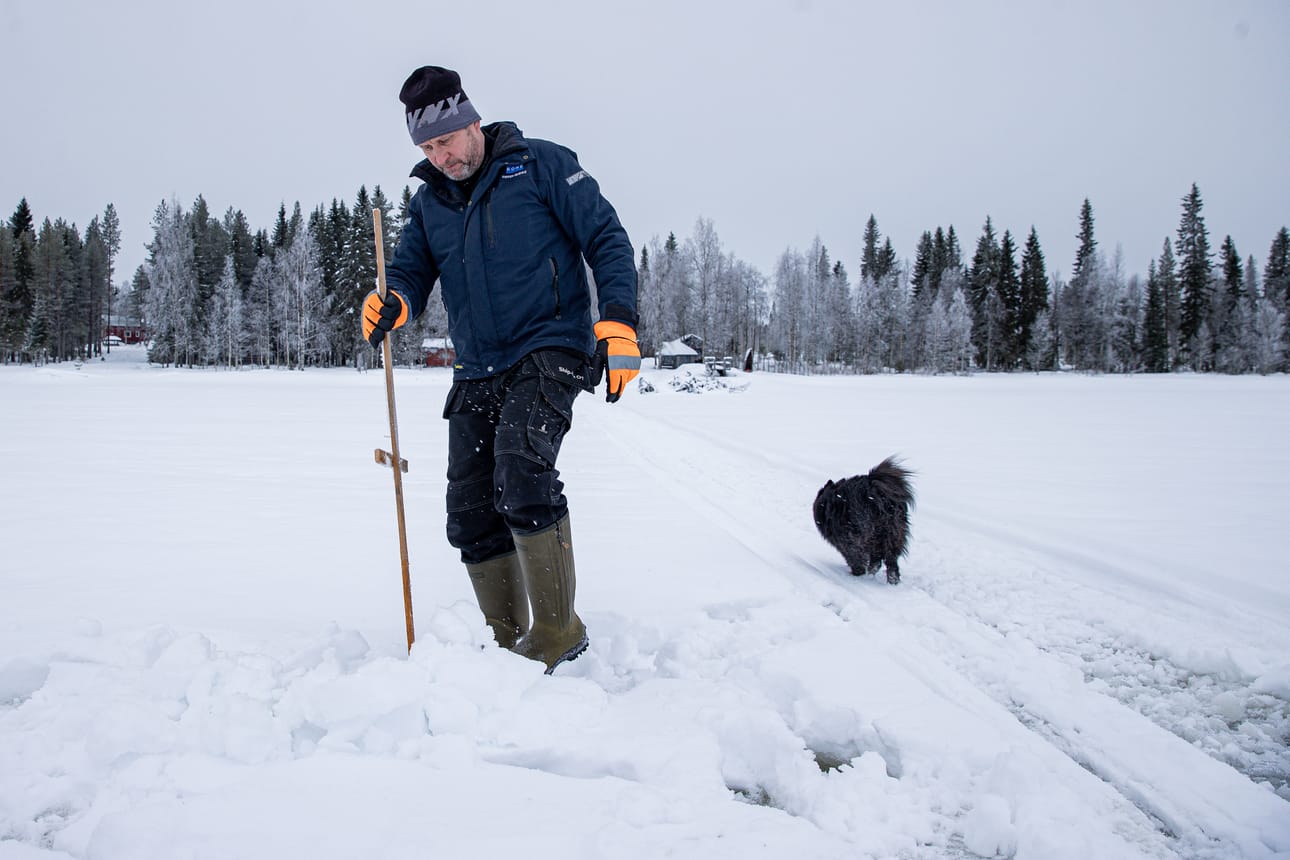 Koillissanomien vuoden 2024 kalakisan voittaja Tuomas Väisänen kävi tarkistamassa pyyntikoukut Kostojärvellä Taivalkoskella. Jäälle tuli mukaan mittelspitz-rodun koira Lenita.