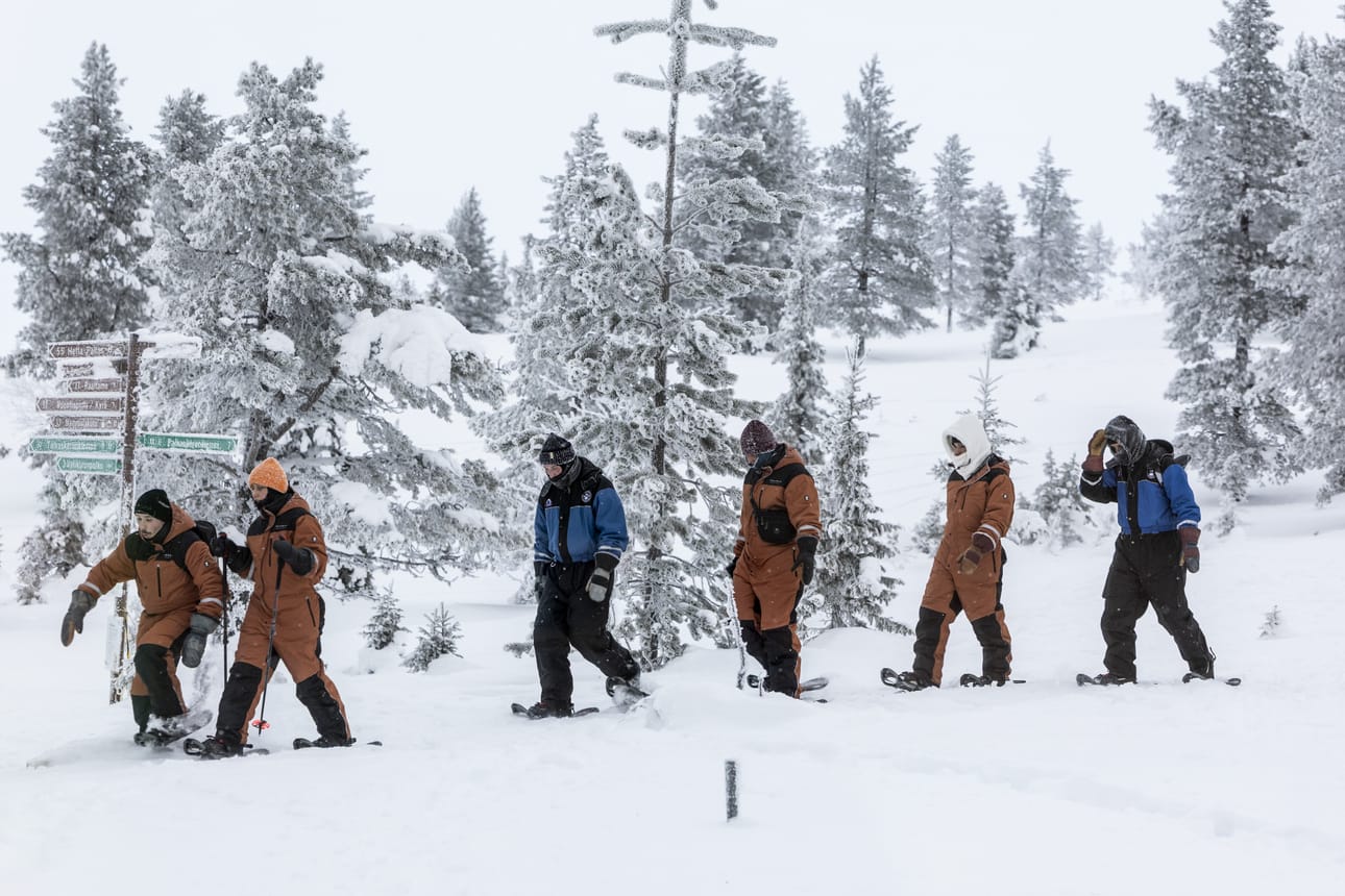 Pallas-Yllästunturin kansallispuisto kestää nykyistä suurempiakin matkailijamääriä, jos vain reitit suunnitellaan oikein ja käyttö keskittyy reiteille. Näin uskotaan Metsähallituksen luontopalveluissa. Lisäksi matkanjärjestäjien ja ohjelmapalveluyritysten pitää sitoutua noudattamaan yhteisiä pelisääntöjä. Kuvassa matkailijoita Pallaksella.