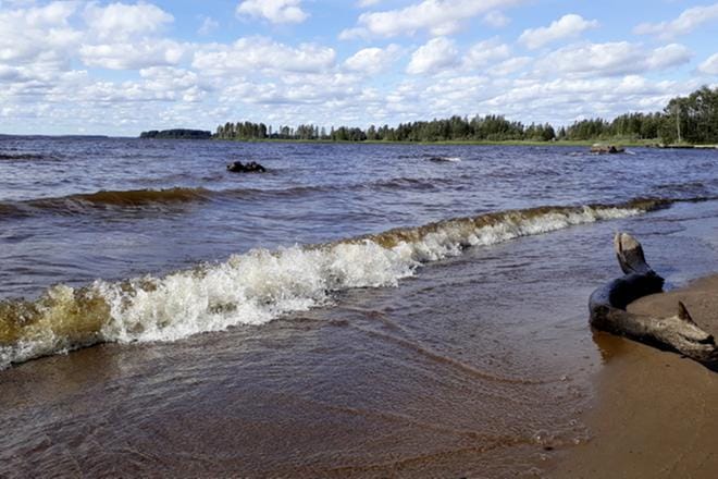 Arkistokuva: Sari Heinilä