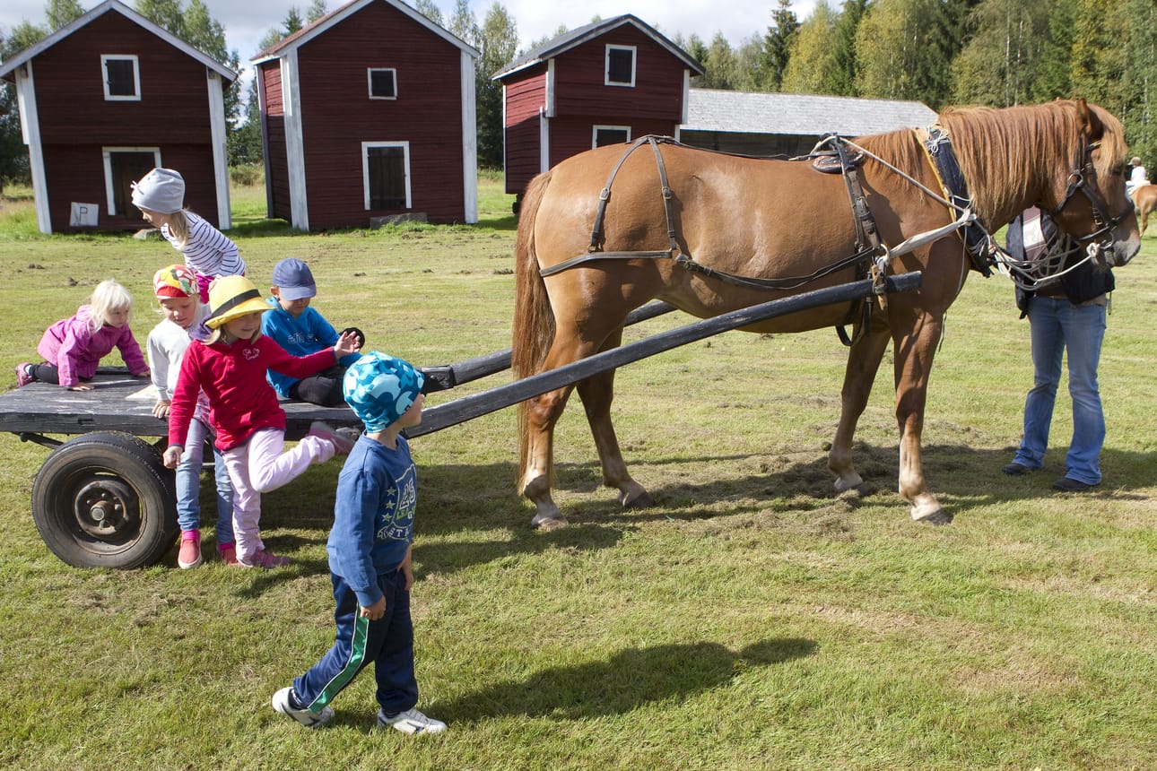 Tyrnävän kotiseutupäiviä vietettiin sunnuntaina ensimmäisen kerran.