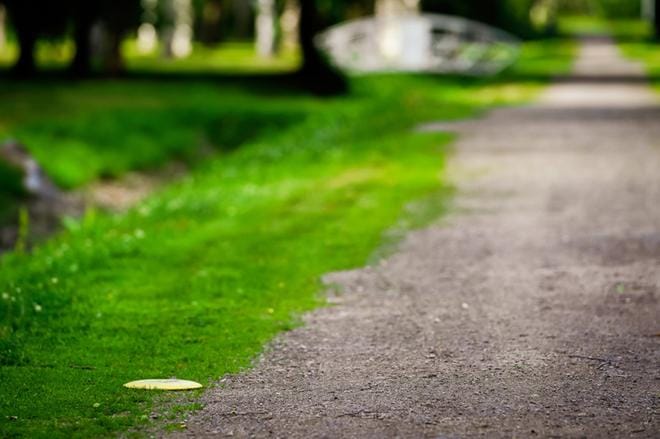 Arboretumin frisbeegolfpuistossa kiekkoja laskeutuu kävelytielle tasaiseen tahtiin. KUVAT: SAMPPA TOIVONEN