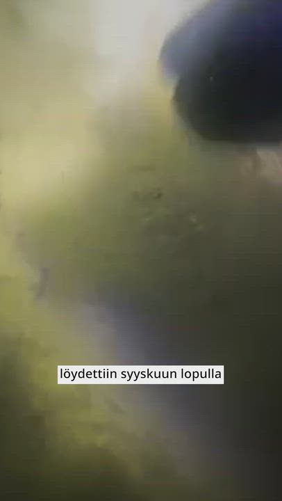 Vuosikymmeniä kadoksissa olleen Oulu 2 -hylyn mysteeri ratkesi