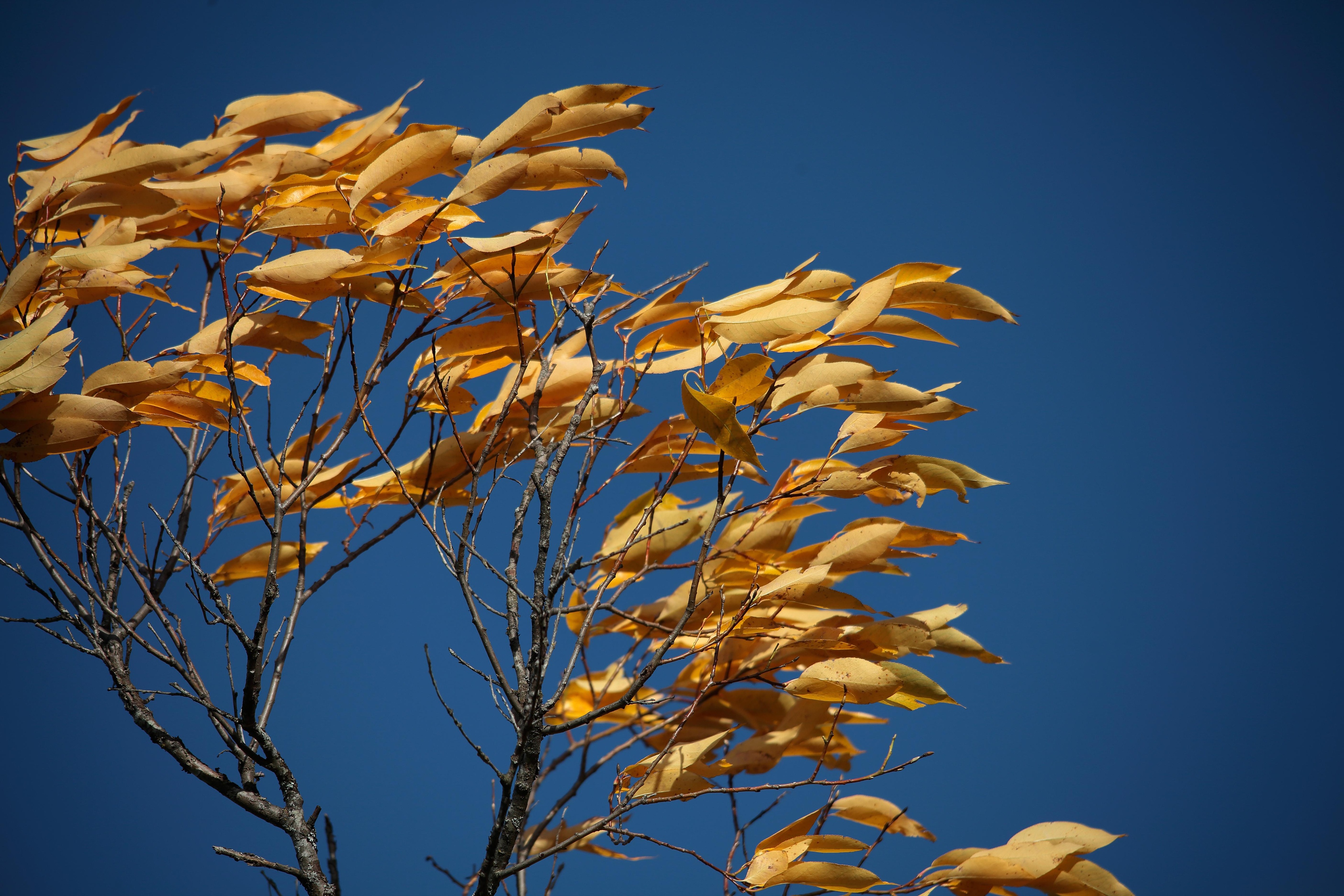 Syyskuun 2024 lukijakuvat