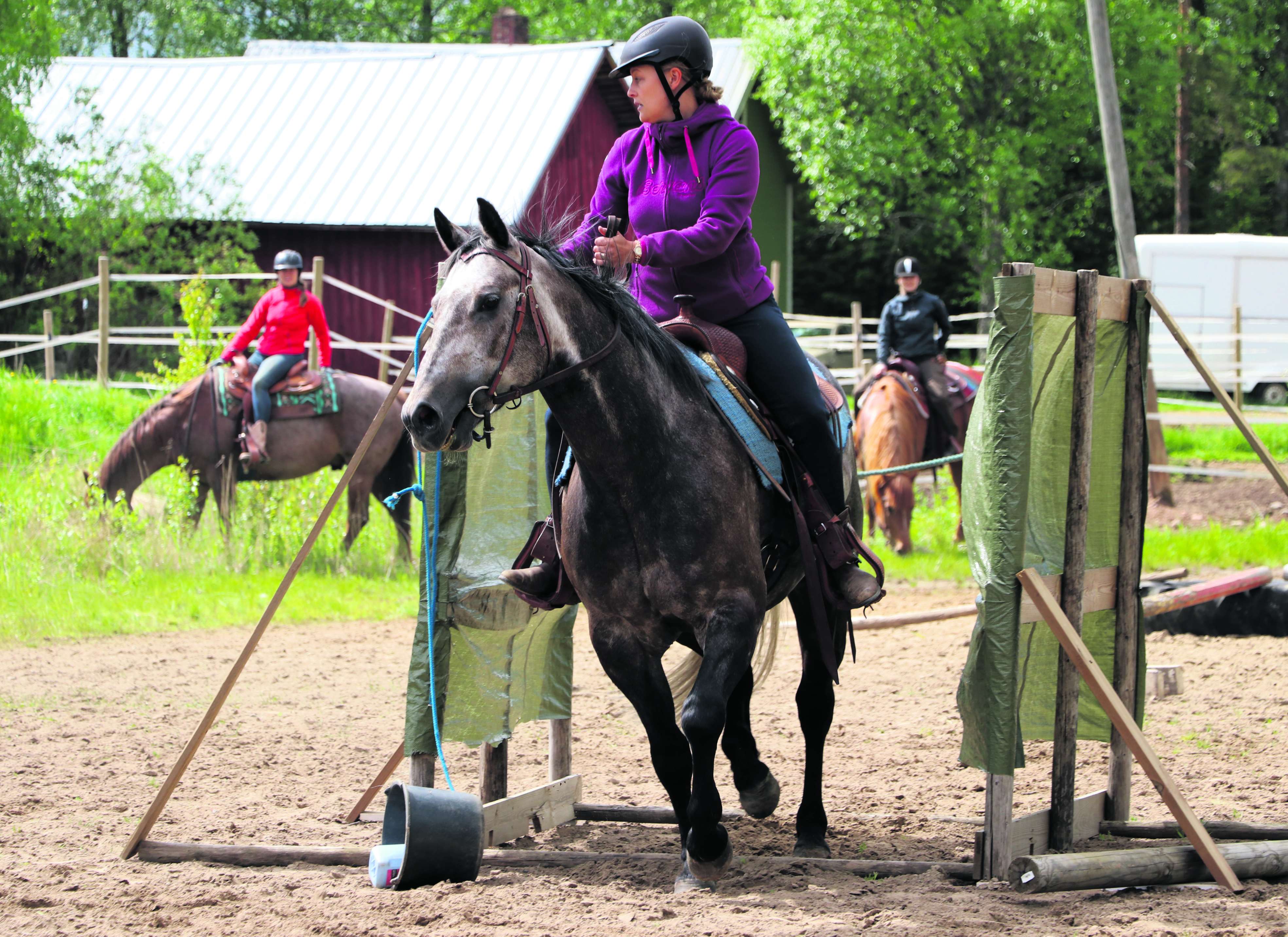 Leirin huipennuksia on puolileikilliset karjankäsittely- ja  ranch trail -kisat. Ranch trail -kisat käytiin pareittain. Siinä ratsukon on suoritettava erilaisia tehtävärasteja. Ratsukot tutkimassa rataa etukäteen (vasemmalla). Tehtäviin kuului mm. portteja, autonrenkaiden läpi kävelemistä, kolisevan ämpärin vetämistä, hevosen peittämistä pressulla  ja niin edelleen.