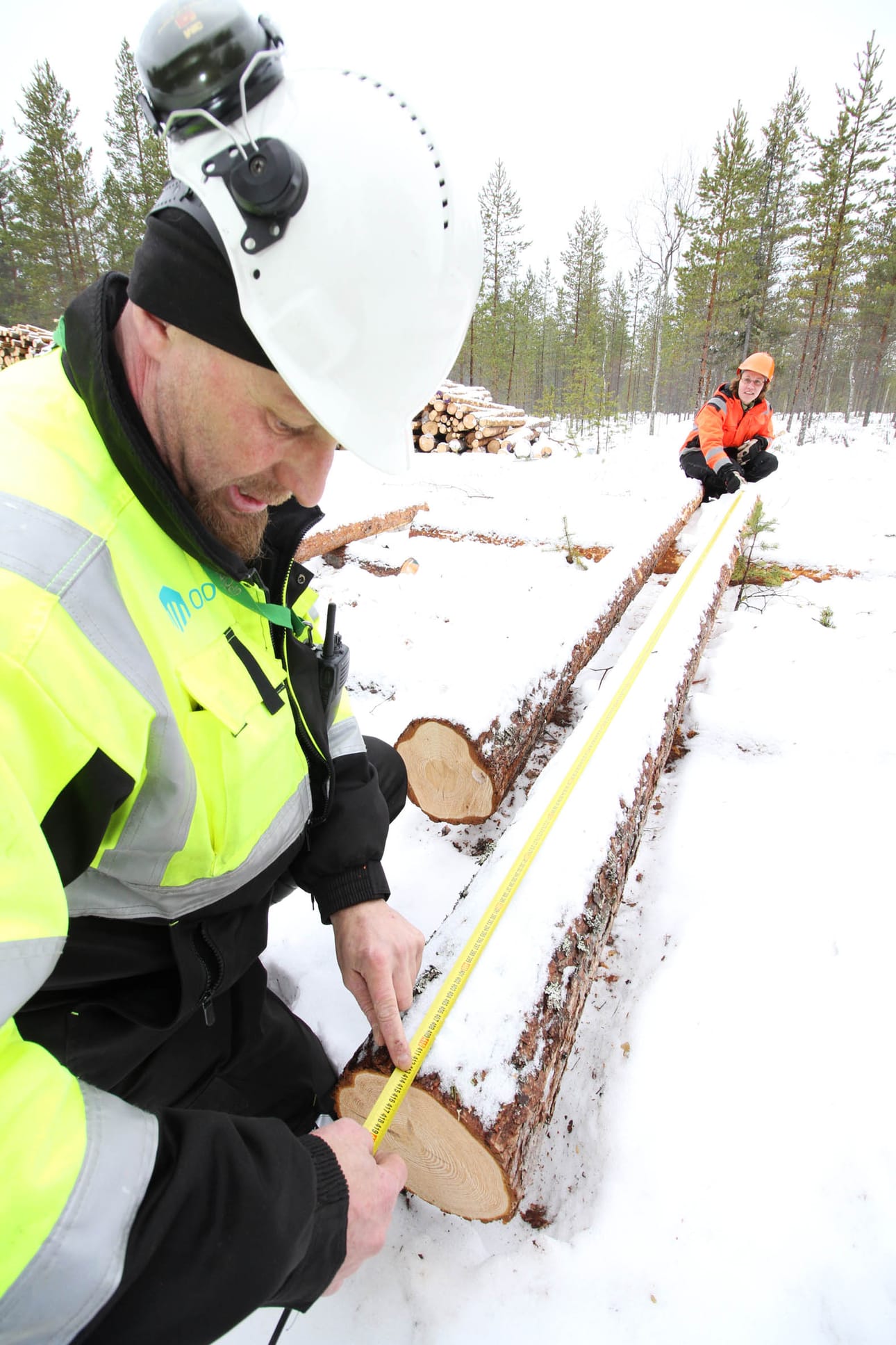 Oulun seudun ammattiopiston ohjaaja Miikka Ahtinen ja Metsähallituksen korjuuesimies Saara Kallinen tarkastavat opiskelijoiden kaatamien tukkien oikean pituuden. Vaikka kone hoitaakin puun kaadon, niin kuljettajalta vaaditaan tarkkuutta ja näppäryyttä.