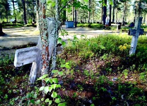 Kesätöissä . Simo Järvinen hoitaa Oulun hautausmaalla seurakunnan hoitosopimuksen alaisia hautoja. Yleisimmät haudoille istutettavat kukat ovat pegonioita, ruusupegonioita ja ahkeraliisoja.
