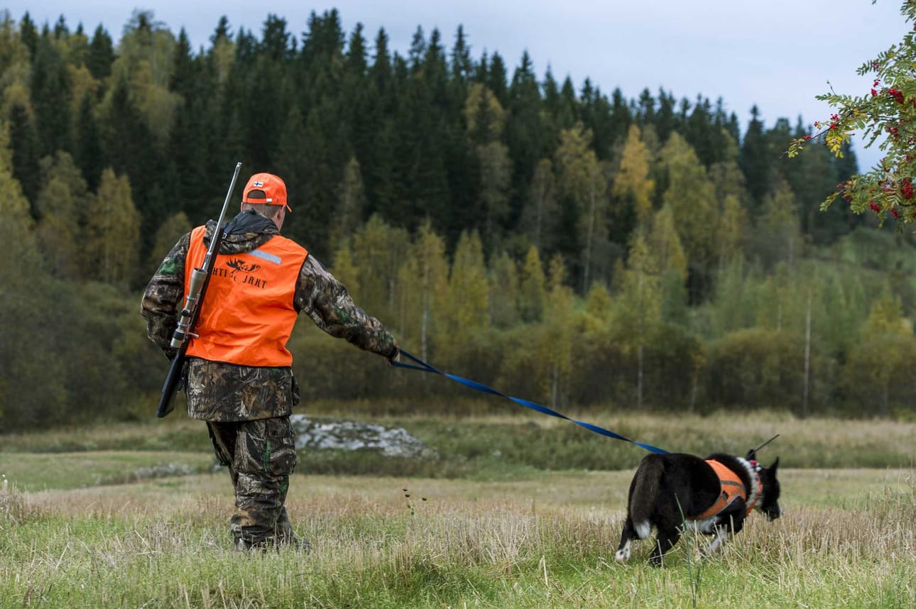 Metsästäjä tuottaa hyvinvointia itselleen ja muille, mikä synnyttää rahanarvoisia palveluksia.