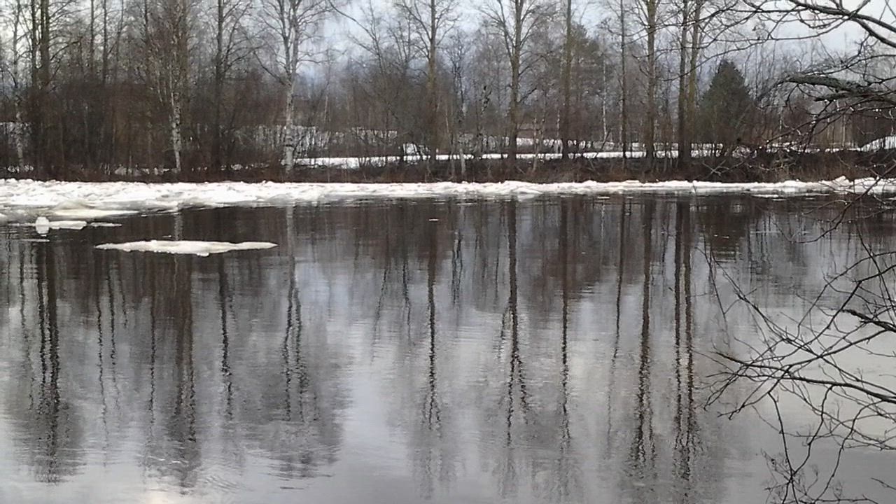 Saukko pulikoi Tirinkylässä